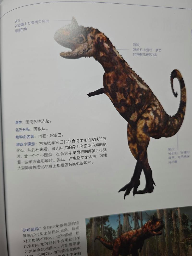 龍圖大全