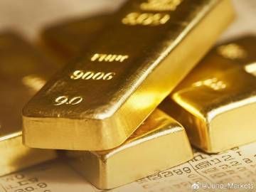過背金龍現(xiàn)在價格 過背金龍現(xiàn)在價格 龍魚論壇 第3張
