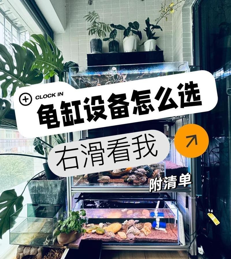 龍魚和龜混養(yǎng)需要哪些設備？ 龍魚和龜混養(yǎng)需要哪些設備？ 龍魚論壇 第1張