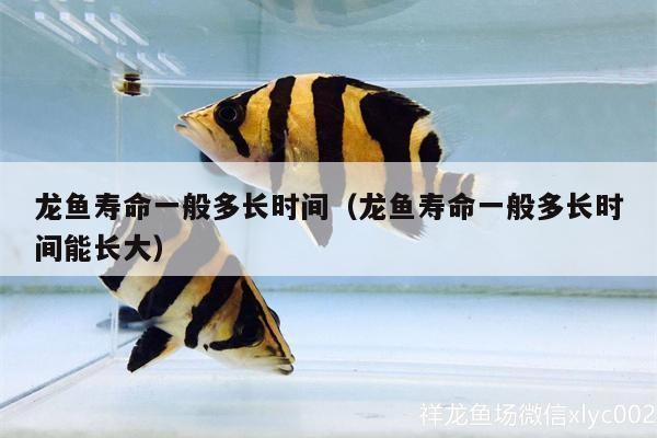 英德市英城龍宮水族館（英德市英城龍宮水族館電話）