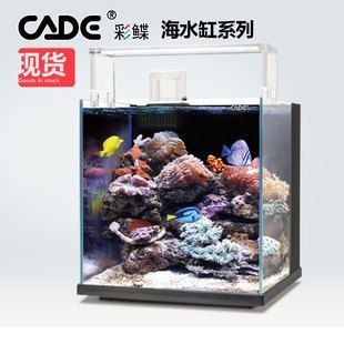 銀龍魚對水溫的要求(銀龍魚適合水溫)