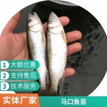 這些漁場提供魚苗嗎？