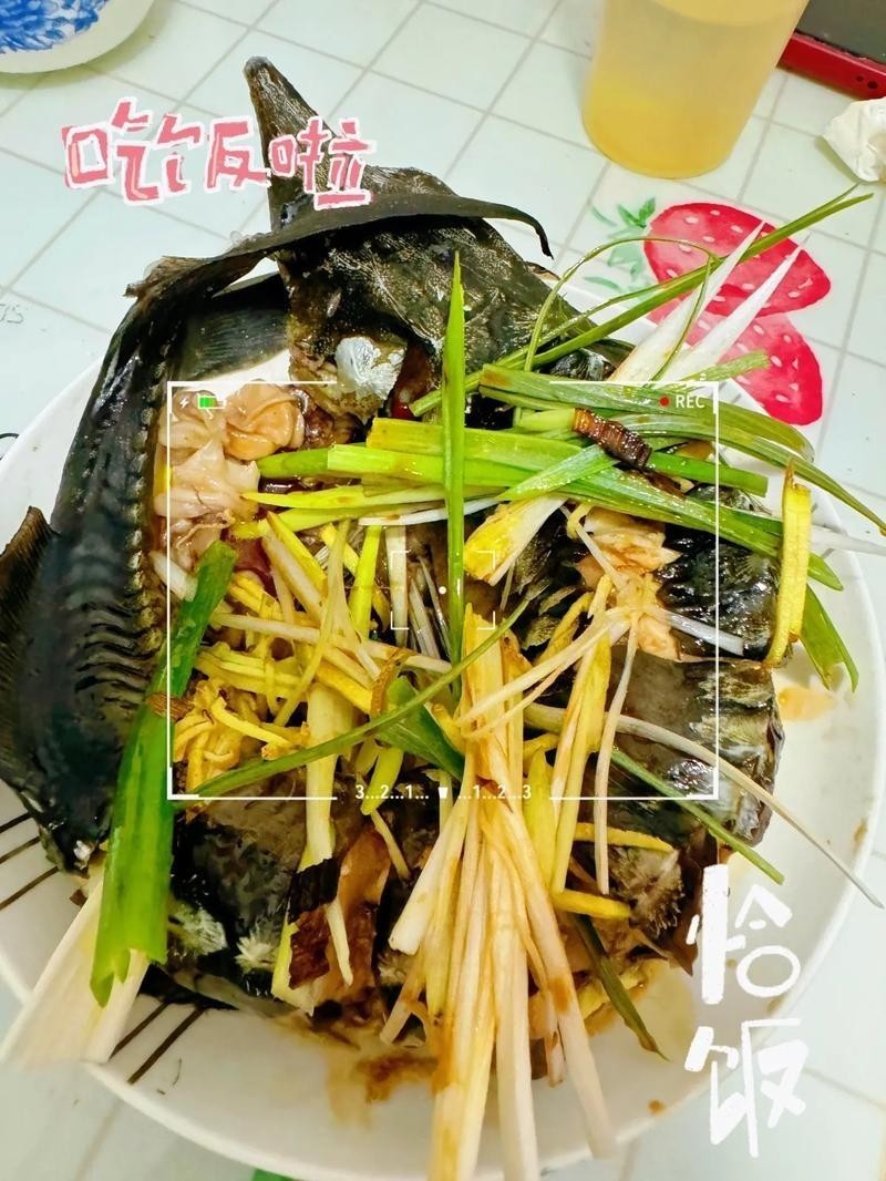 龍魚做法圖片欣賞視頻 龍魚做法圖片欣賞視頻 龍魚百科 第38張