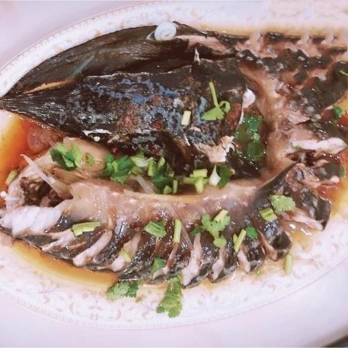 龍魚做法圖片欣賞視頻 龍魚做法圖片欣賞視頻 龍魚百科 第35張