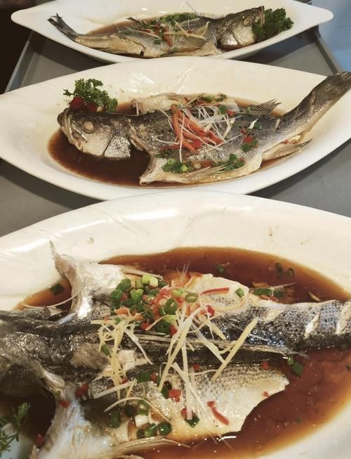 龍魚做法圖片欣賞視頻 龍魚做法圖片欣賞視頻 龍魚百科 第36張