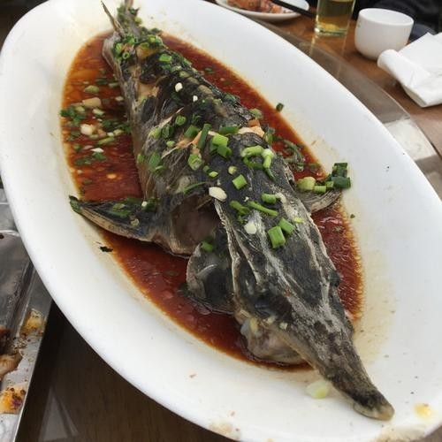 龍魚做法圖片欣賞視頻 龍魚做法圖片欣賞視頻 龍魚百科 第34張