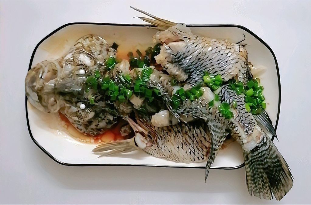 花斑魚(yú)的功效與作用 花斑魚(yú)的功效與作用 龍魚(yú)論壇 第13張