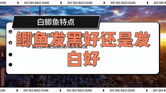 鯽魚發黑好還是發白好