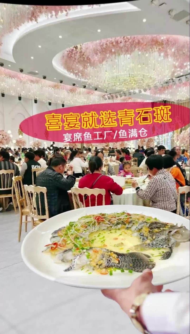 花斑魚又叫什么魚