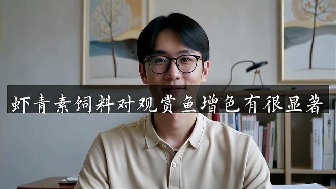 觀賞魚增色吃什么飼料