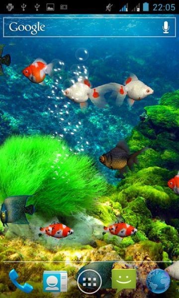 有沒有推薦的龍魚動(dòng)態(tài)壁紙資源？