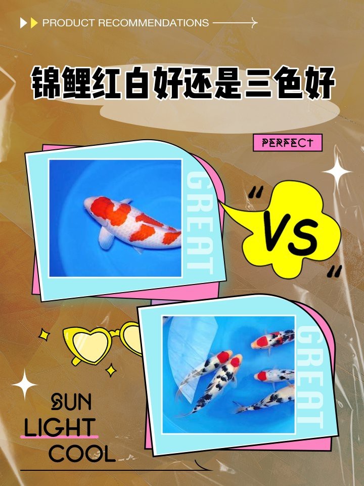 大正三色與紅白的區別