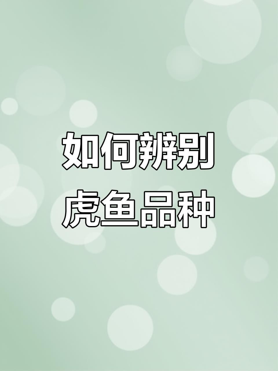 虎魚品種好壞怎么區(qū)分