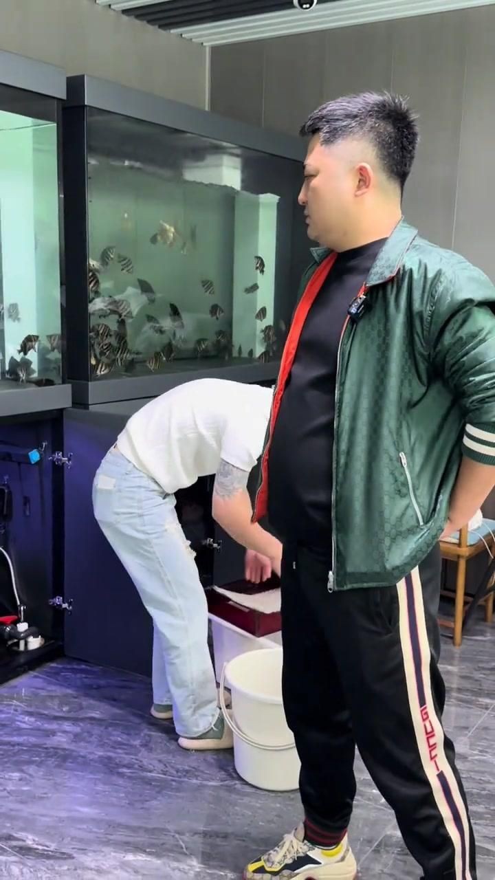 虎魚品種好壞怎么區(qū)分