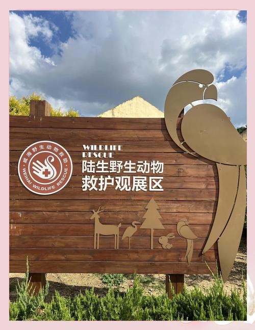 如何聯(lián)系這些野生動(dòng)物救護(hù)中心？ 如何聯(lián)系這些野生動(dòng)物救護(hù)中心？ 龍魚百科 第2張