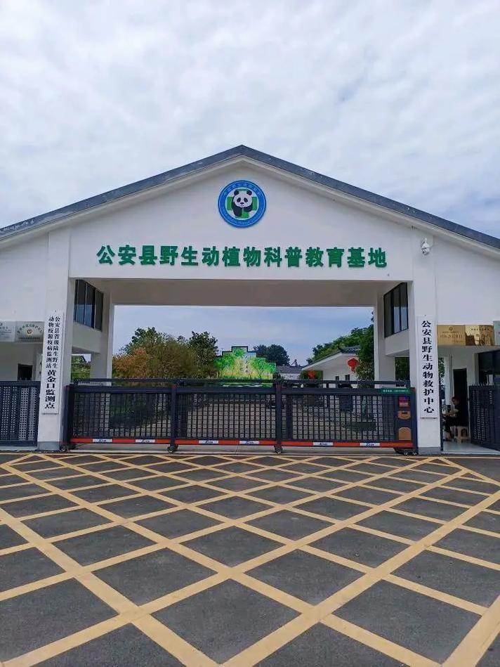 如何聯(lián)系這些野生動(dòng)物救護(hù)中心？ 如何聯(lián)系這些野生動(dòng)物救護(hù)中心？ 龍魚百科 第3張