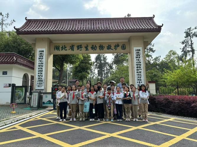如何聯(lián)系這些野生動(dòng)物救護(hù)中心？ 如何聯(lián)系這些野生動(dòng)物救護(hù)中心？ 龍魚百科 第1張