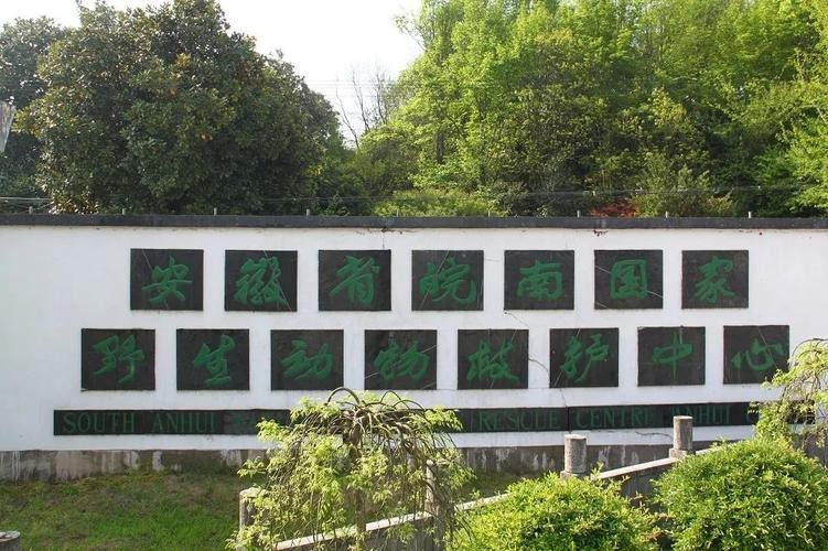如何聯(lián)系這些野生動(dòng)物救護(hù)中心？ 如何聯(lián)系這些野生動(dòng)物救護(hù)中心？ 龍魚百科 第5張