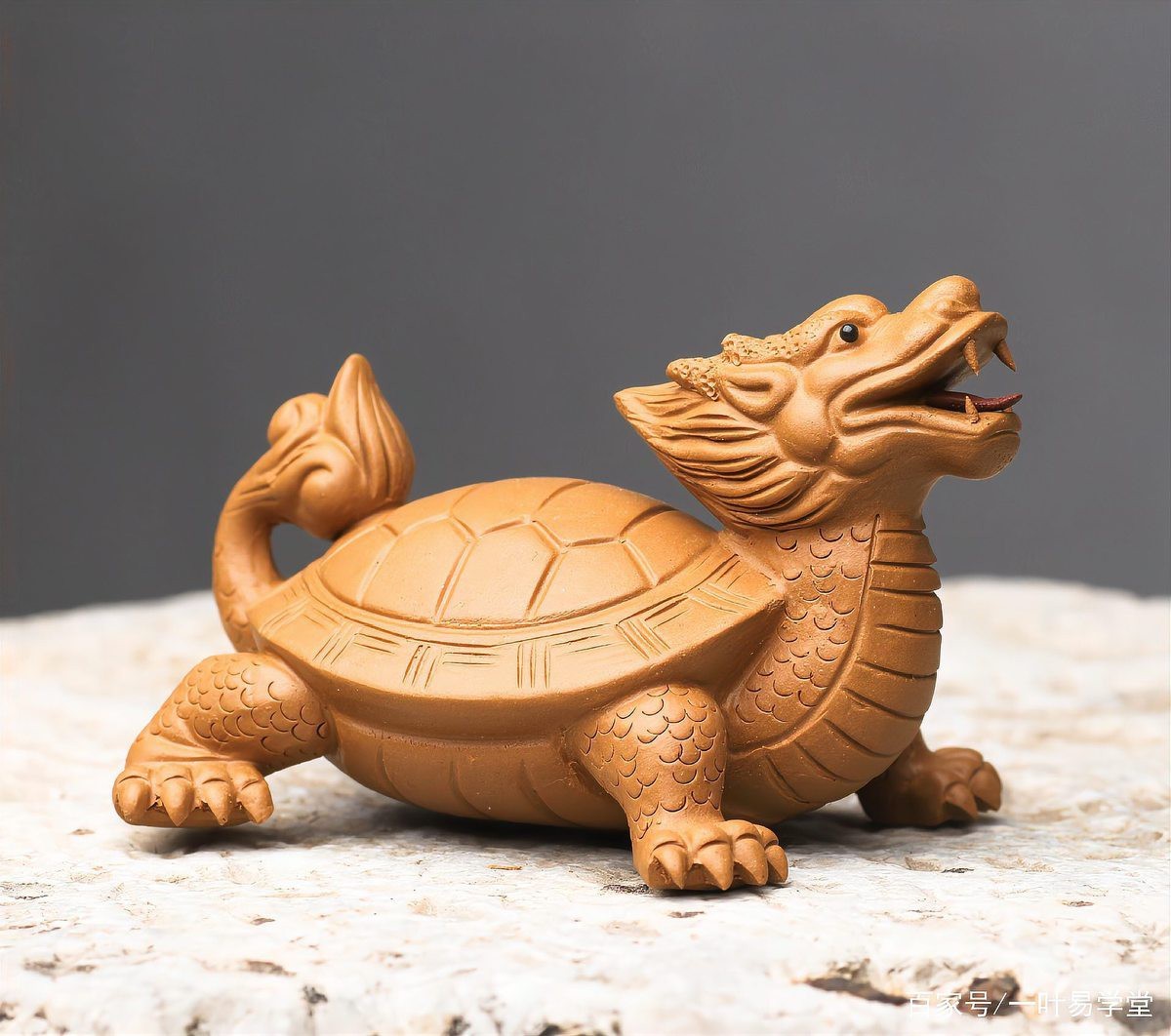 龍龜真的有鎮(zhèn)宅作用嗎