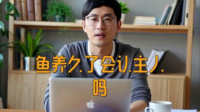 魚(yú)養(yǎng)久了會(huì)認(rèn)主人嗎 魚(yú)養(yǎng)久了會(huì)認(rèn)主人嗎 龍魚(yú)論壇 第2張