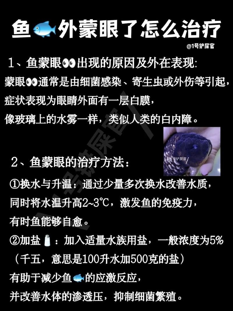 銀龍魚(yú)眼睛上長(zhǎng)白膜怎么辦圖片大全