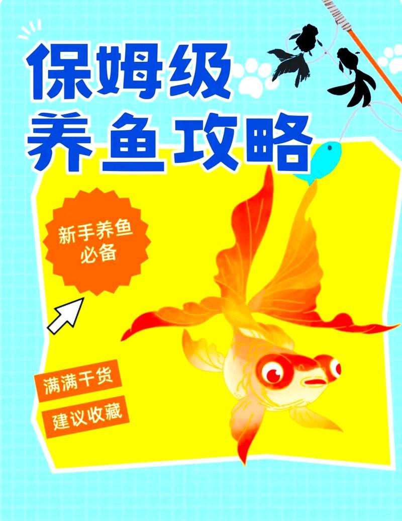 女王魚最忌三個東西