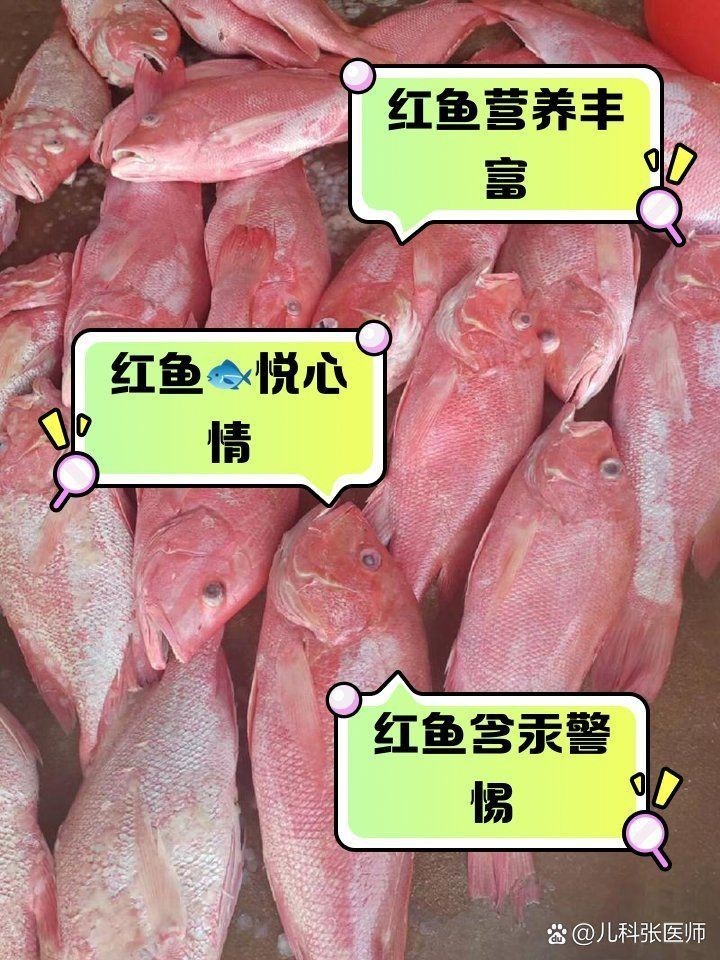 紅魚為什么沒人吃 龍魚論壇 第6張 紅魚為什么沒人吃 紅魚為什么沒人吃 龍魚論壇 第6張