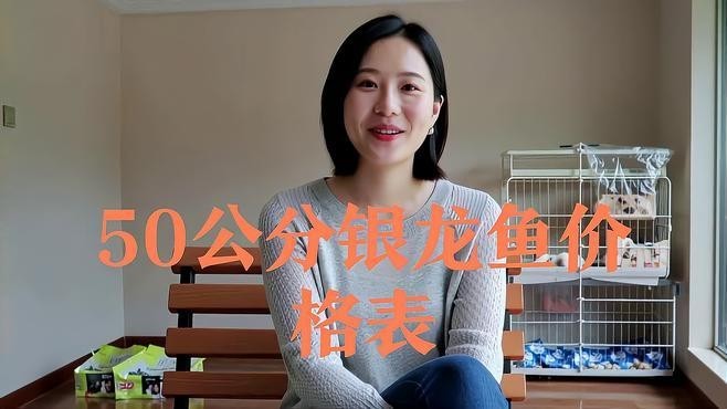 銀龍魚多少元一條圖片