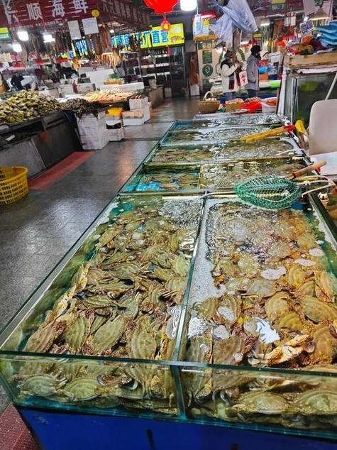 青島龍魚在哪賣的最好吃