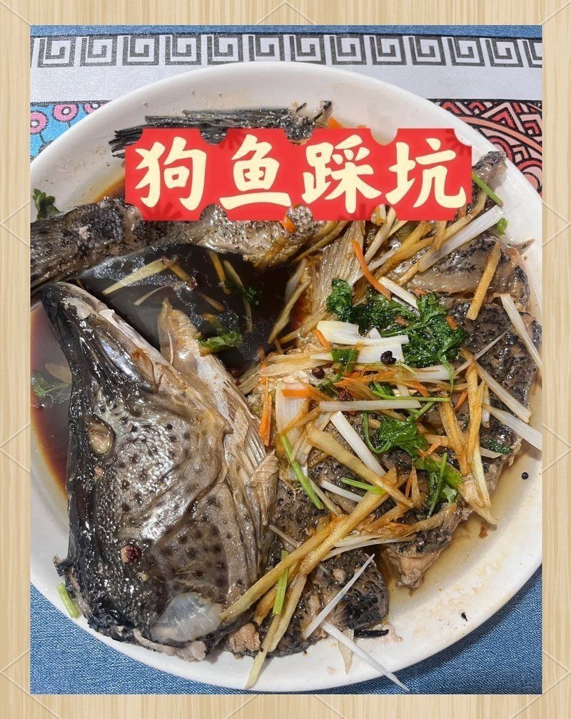 狗魚價格一斤多少錢