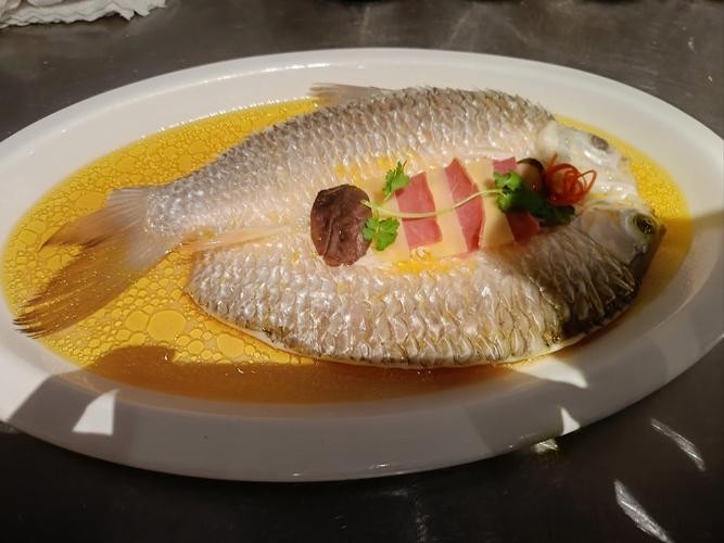 曹妃甸龍魚市場有哪些知名商家，北方地區觀賞魚市場分布指南 曹妃甸龍魚市場有哪些知名商家，北方地區觀賞魚市場分布指南 龍魚百科 第2張