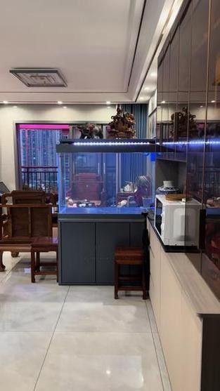 印尼紅龍魚喂養(yǎng)方法圖片大全集