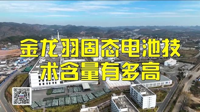 金龍羽股價波動對投資者有何影響？