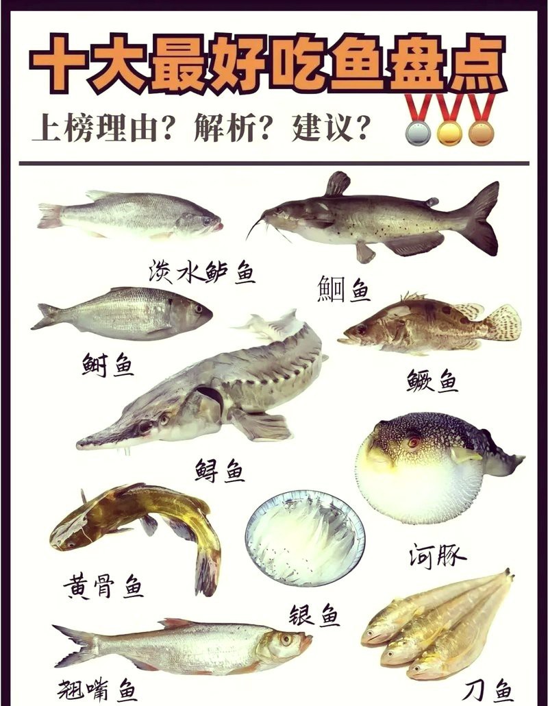十大最干凈的淡水魚
