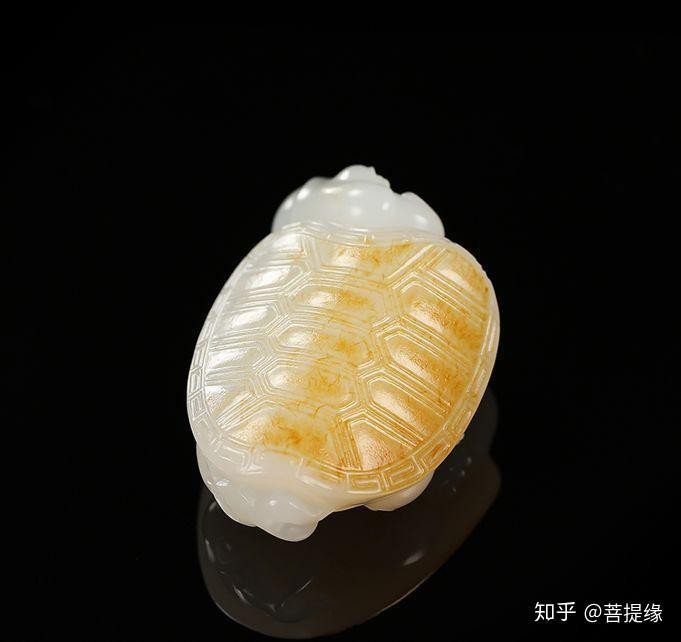 龍龜會(huì)反噬主人嗎