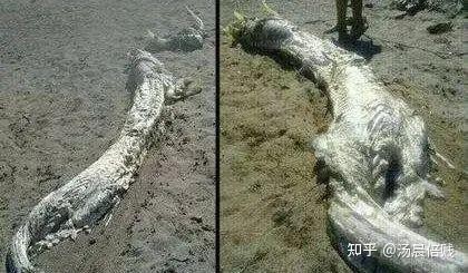 請提供更多關于墮龍的古籍記載
