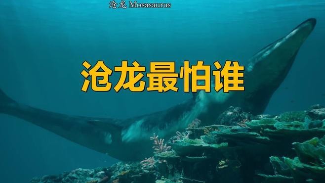 滄龍有哪些天敵？