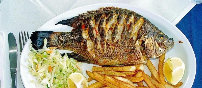 福壽魚有營養嗎