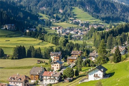 日照經(jīng)濟(jì)技術(shù)開(kāi)發(fā)區(qū)雙潤(rùn)觀賞魚(yú)養(yǎng)殖場(chǎng)（日照觀賞魚(yú)基地） 日照經(jīng)濟(jì)技術(shù)開(kāi)發(fā)區(qū)雙潤(rùn)觀賞魚(yú)養(yǎng)殖場(chǎng)（日照觀賞魚(yú)基地） 全國(guó)水族館企業(yè)名錄