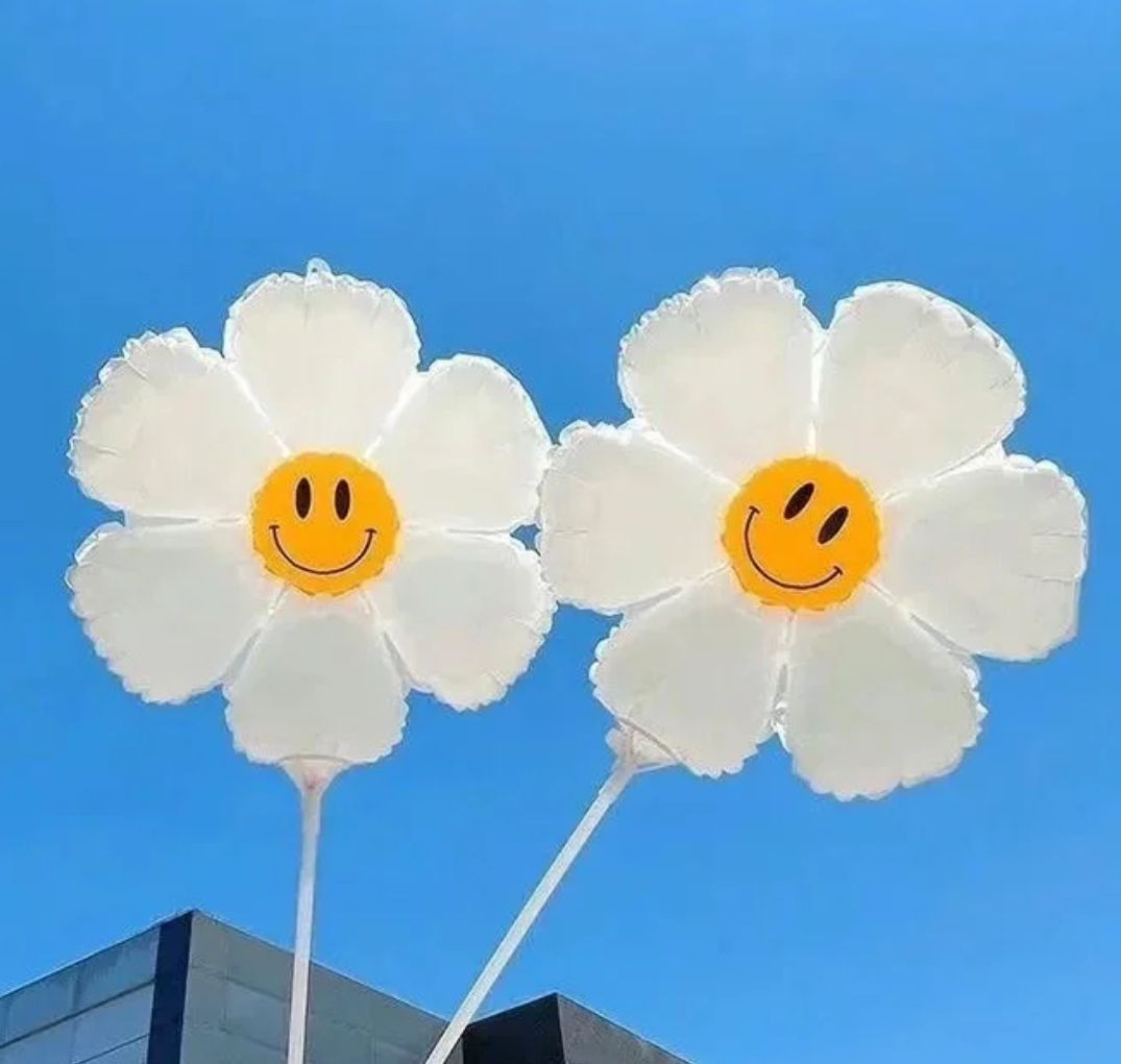 蝴蝶在易經中象征是什么