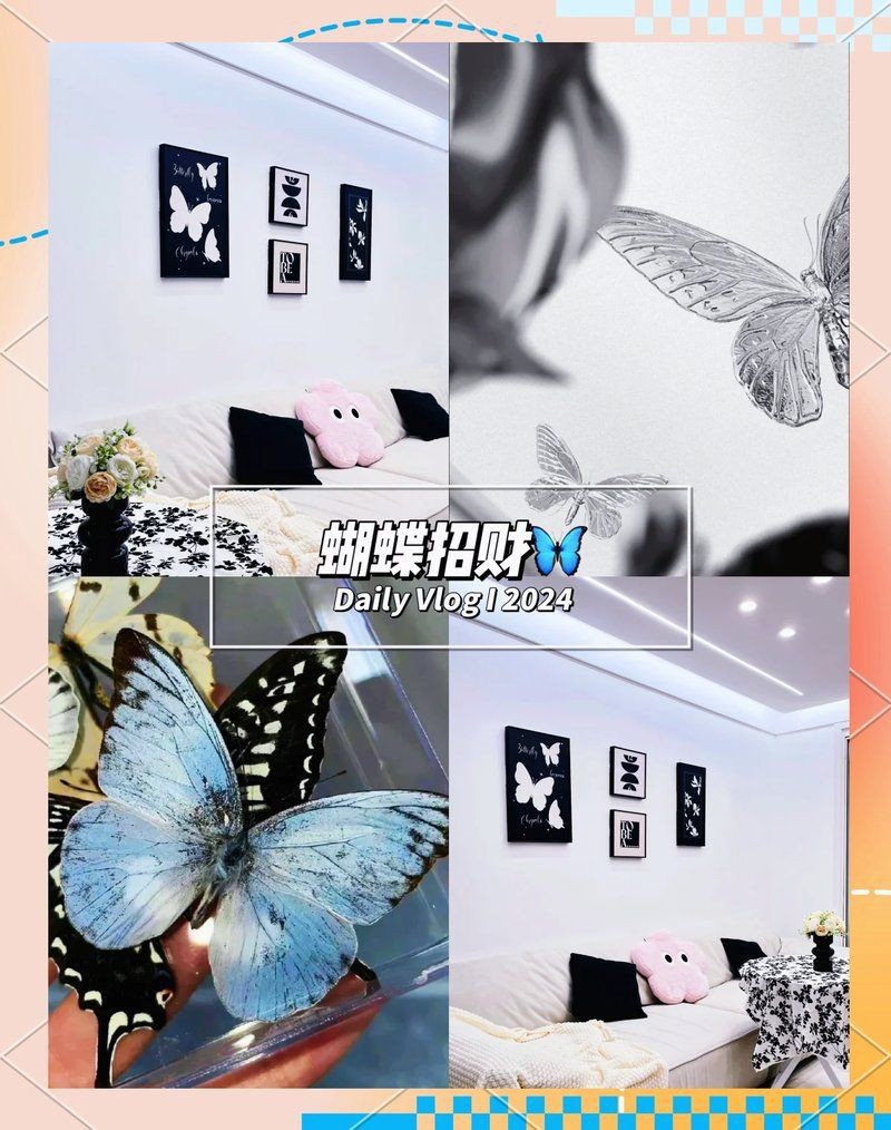 蝴蝶在易經中象征是什么