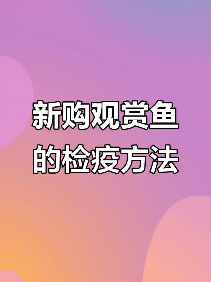 剛買回來的魚怎么消毒入缸