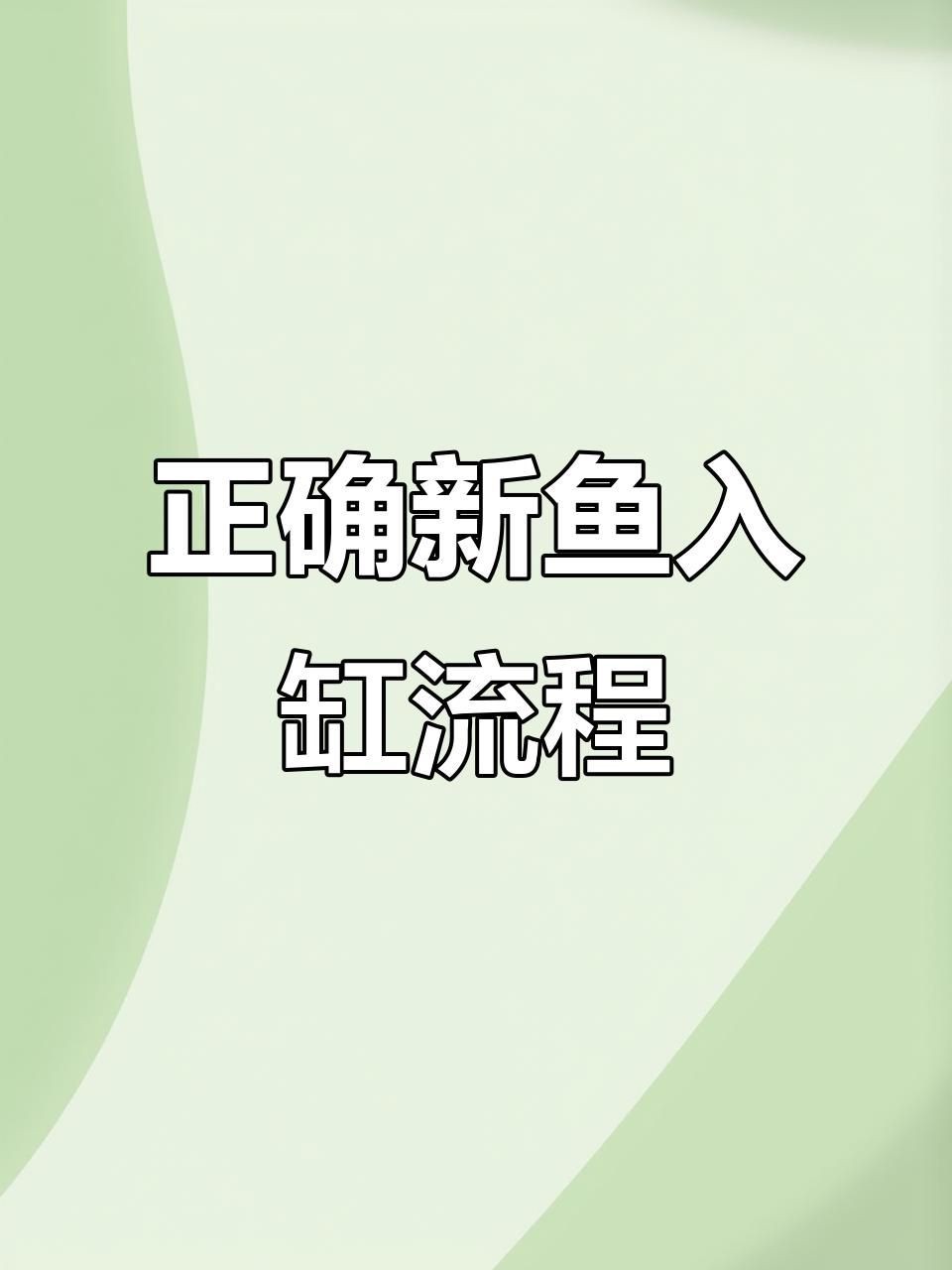 剛買回來的魚怎么消毒入缸