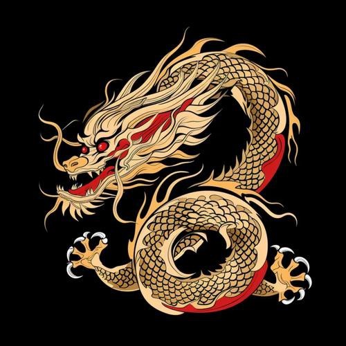 有哪些龍畫裝飾的案例可以參考？
