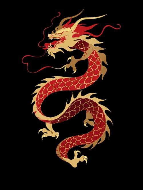 有哪些龍畫裝飾的案例可以參考？