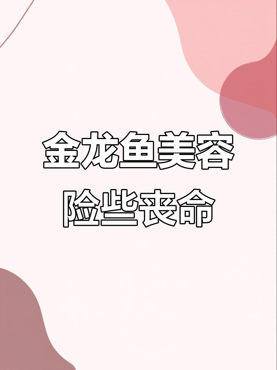 金龍魚美容有哪些風(fēng)險(xiǎn)？