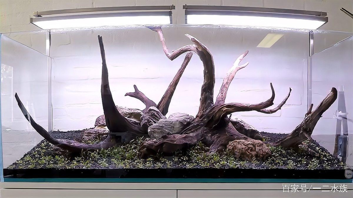 1.2米魚缸