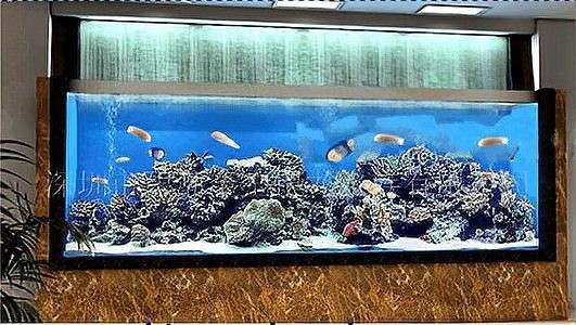 1.2米魚缸