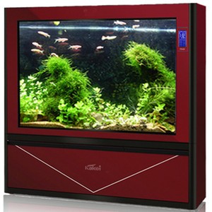 昆山開發(fā)區(qū)和諧水族館（昆山開發(fā)區(qū)和諧水族館電話）