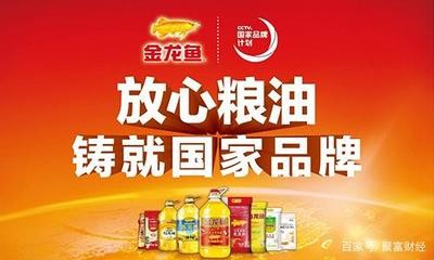 最大的銀龍魚有多大？